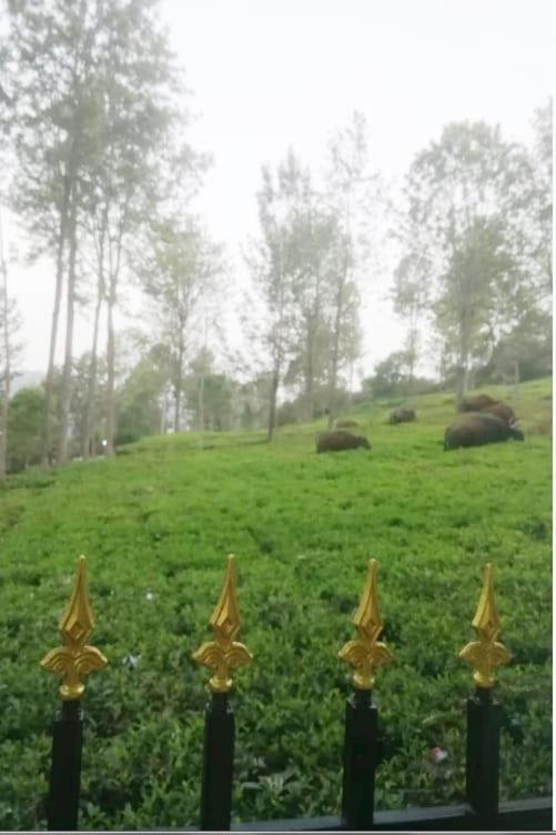 Franc Villa - Kothagiri Kotagiri Luaran gambar